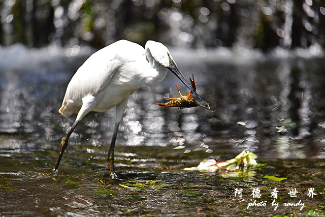 前山公園0405 106.JPG 前山公園0405 106.JPG