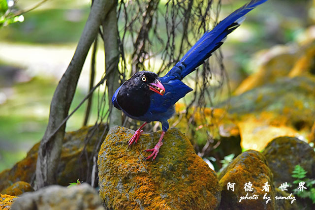 前山公園0405 110.JPG 前山公園0405 110.JPG