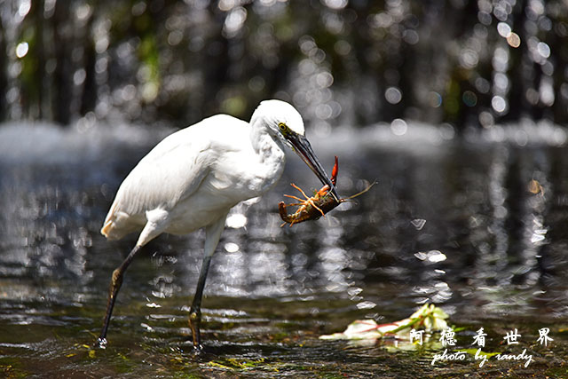 前山公園0405 107.JPG 前山公園0405 107.JPG
