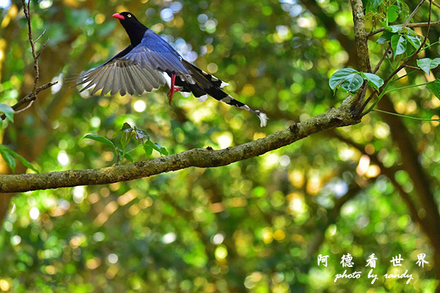 前山公園0405 118.JPG 前山公園0405 118.JPG