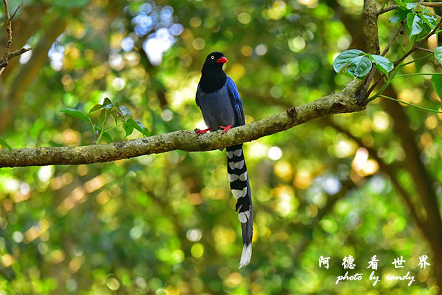 前山公園0405 116.JPG 前山公園0405 116.JPG