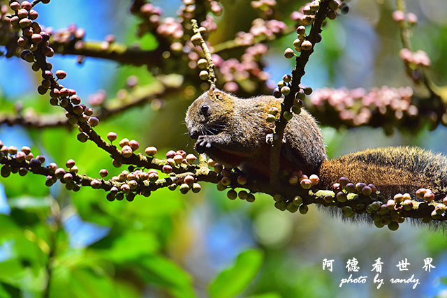 前山公園0405 120.JPG 前山公園0405 120.JPG