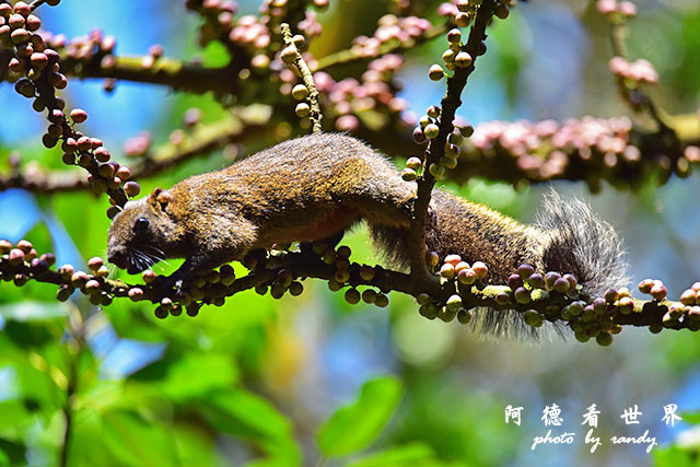 前山公園0405 121.JPG 前山公園0405 121.JPG