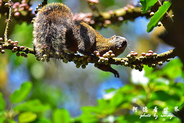 前山公園0405 123.JPG 前山公園0405 123.JPG