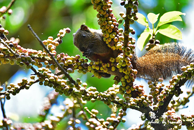 前山公園0405 125.JPG 前山公園0405 125.JPG