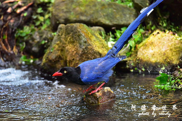 前山公園0405 136.JPG 前山公園0405 136.JPG