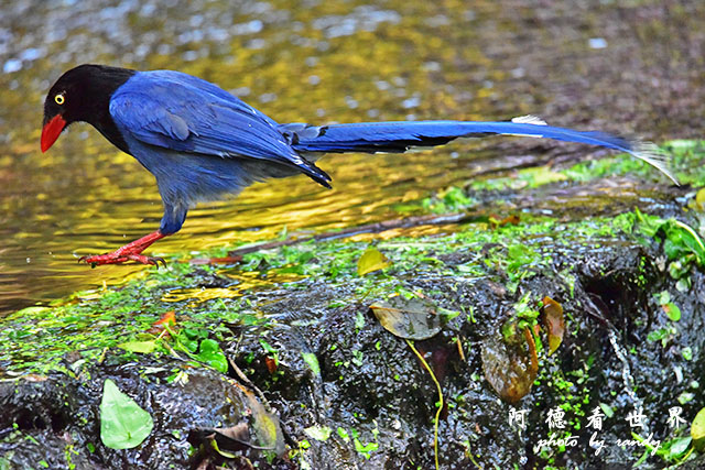 前山公園0405 137.JPG 前山公園0405 137.JPG