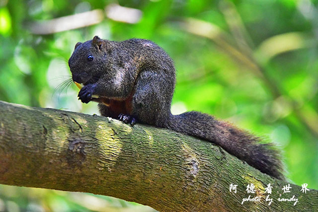 前山公園0405 131.JPG 前山公園0405 131.JPG