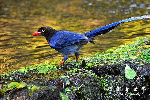 前山公園0405 138.JPG 前山公園0405 138.JPG