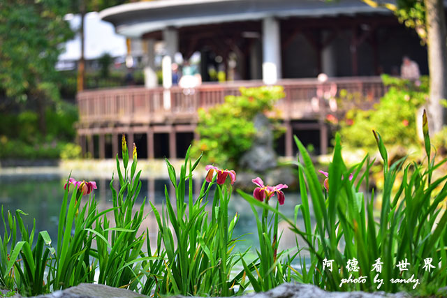 前山公園0405 168.JPG 前山公園0405 168.JPG