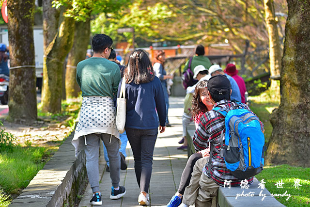 前山公園0405 172.JPG