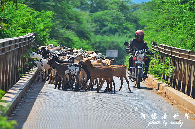 bogoriaD7000 044.JPG bogoriaD7000 044.JPG