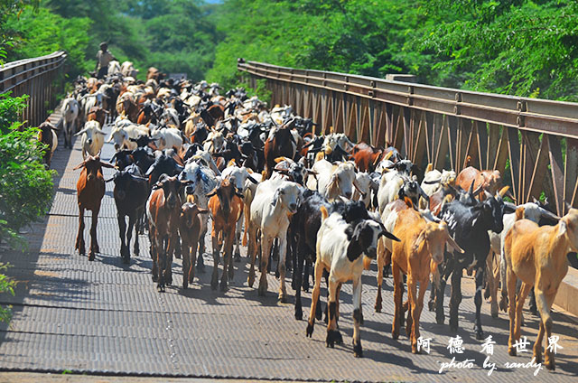 bogoriaD7000 047.JPG bogoriaD7000 047.JPG