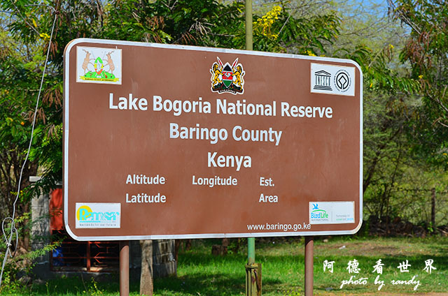 bogoriaD7000 052.JPG bogoriaD7000 052.JPG