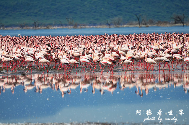 bogoriaD7000 094.JPG bogoriaD7000 094.JPG