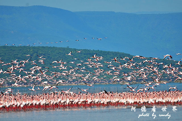 bogoriaD7000 188.JPG bogoriaD7000 188.JPG