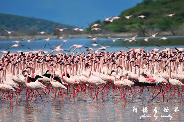 bogoriaD7000 281.JPG bogoriaD7000 281.JPG