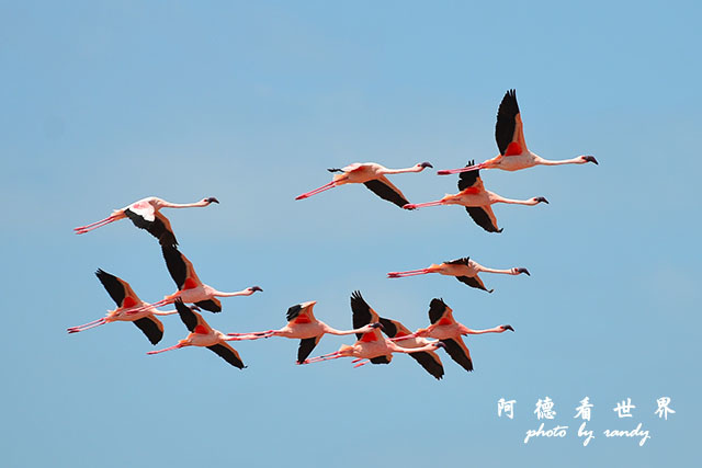 bogoriaD7000 391.JPG bogoriaD7000 391.JPG