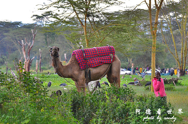 hellsgateD7000 007.JPG hellsgateD7000 007.JPG