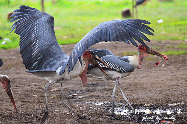 hellsgateD7000 022.JPG hellsgateD7000 022.JPG