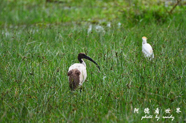 hellsgateD7000 038.JPG hellsgateD7000 038.JPG