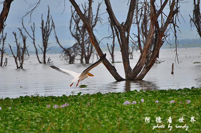 hellsgateD7000 036.JPG hellsgateD7000 036.JPG