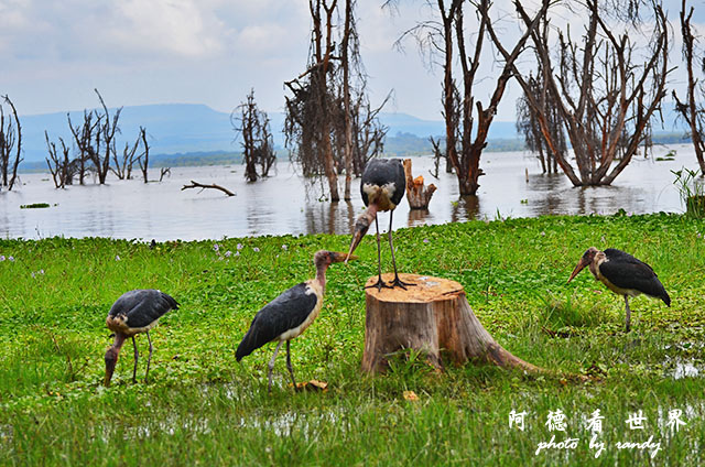 hellsgateD7000 044.JPG hellsgateD7000 044.JPG