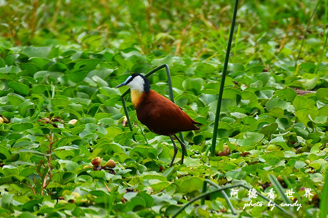 hellsgateD7000 051.JPG hellsgateD7000 051.JPG