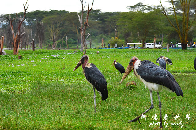 hellsgateD7000 054.JPG hellsgateD7000 054.JPG