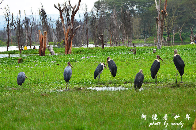 hellsgateD7000 053.JPG hellsgateD7000 053.JPG