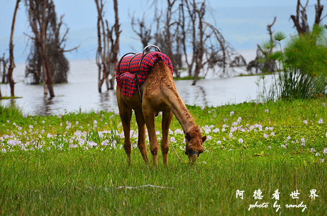 hellsgateD7000 058.JPG hellsgateD7000 058.JPG