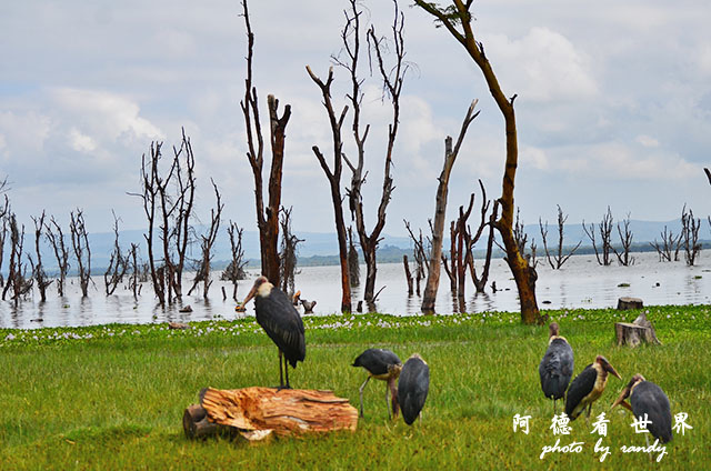 hellsgateD7000 056.JPG hellsgateD7000 056.JPG