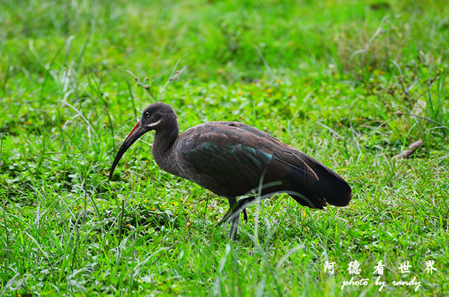 hellsgateD7000 062.JPG hellsgateD7000 062.JPG