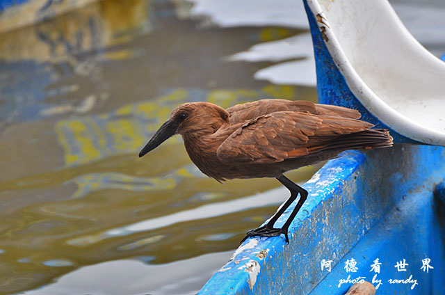 hellsgateD7000 066.JPG hellsgateD7000 066.JPG