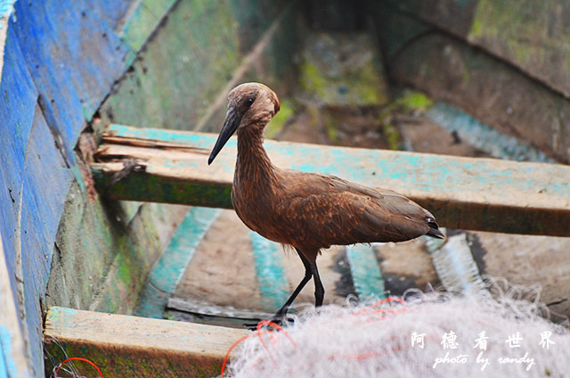 hellsgateD7000 074.JPG hellsgateD7000 074.JPG