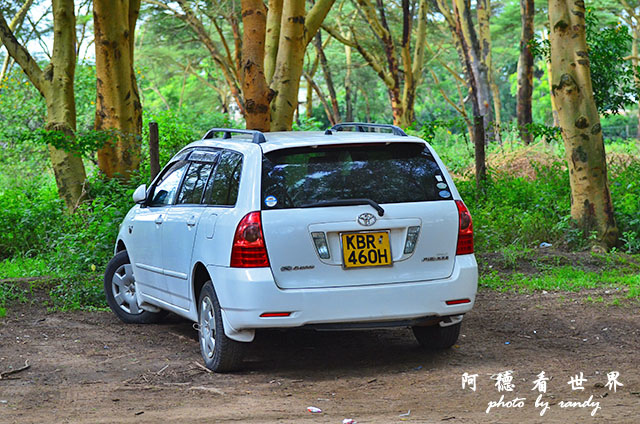 hellsgateD7000 079.JPG hellsgateD7000 079.JPG