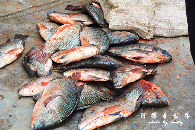 hellsgateP7700 084.JPG hellsgateP7700 084.JPG