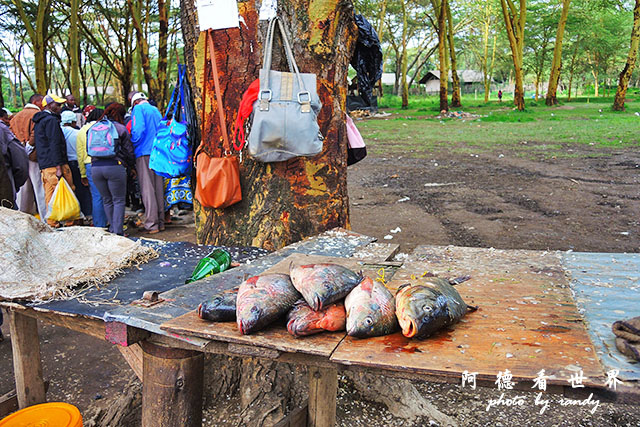 hellsgateP7700 095.JPG hellsgateP7700 095.JPG