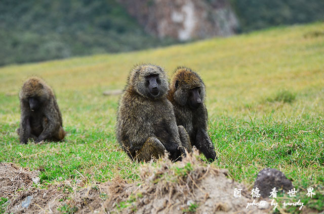 hellsgateD7000 099.JPG hellsgateD7000 099.JPG