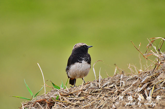 hellsgateD7000 114.JPG hellsgateD7000 114.JPG