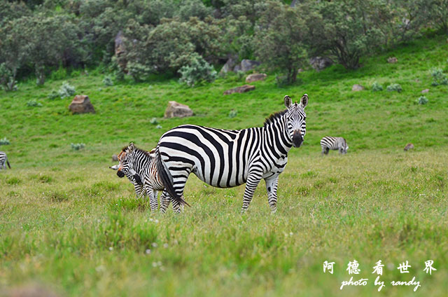 hellsgateD7000 119.JPG hellsgateD7000 119.JPG