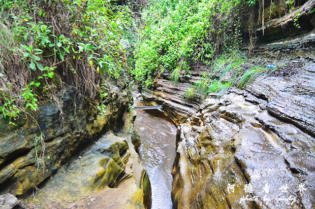 hellsgateD7000 143.JPG hellsgateD7000 143.JPG