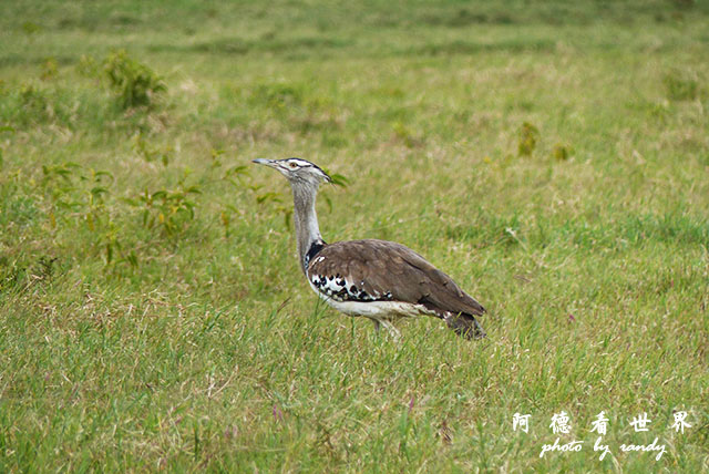 hellsgateFZ200 (80).JPG hellsgateFZ200 (80).JPG