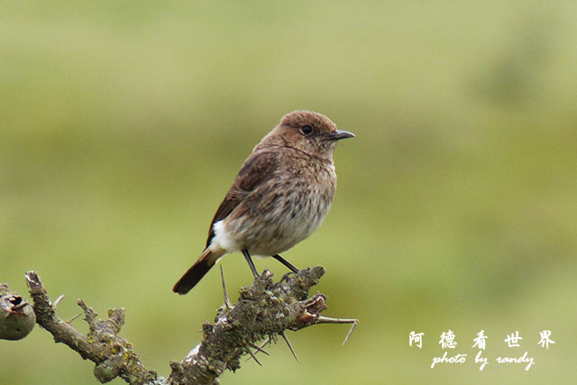 hellsgateFZ200 (83).JPG hellsgateFZ200 (83).JPG