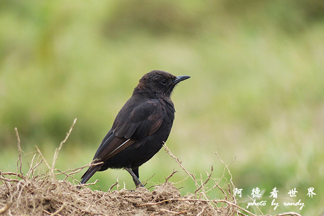 hellsgateFZ200 (85).JPG hellsgateFZ200 (85).JPG