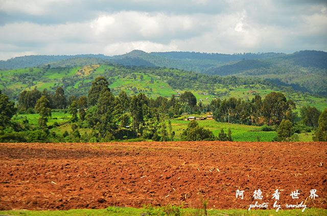 kericho1D7000 013.JPG kericho1D7000 013.JPG