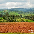 kericho1D7000 013.JPG