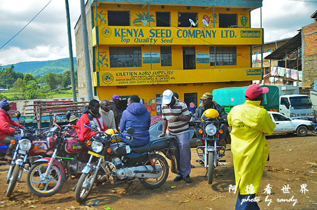 kericho1D7000 025.JPG kericho1D7000 025.JPG