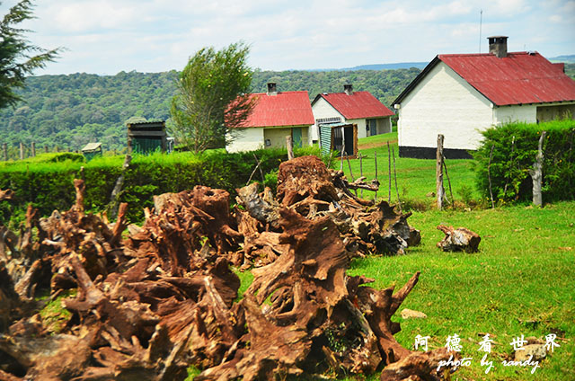 kericho1D7000 031.JPG kericho1D7000 031.JPG