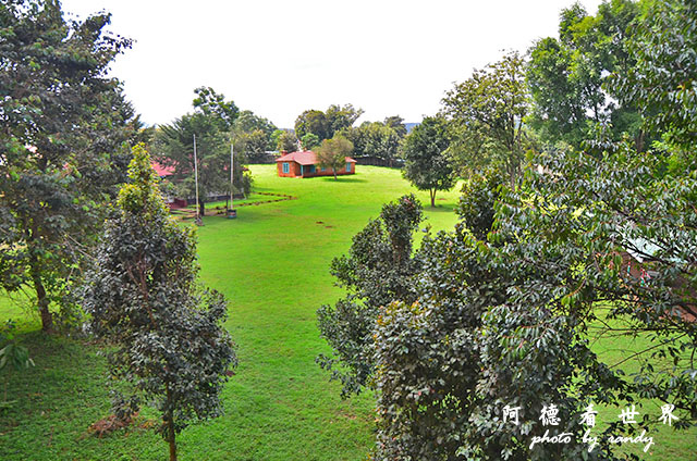 kericho1D7000 113.JPG kericho1D7000 113.JPG